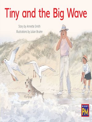 cover image of Tiny and the Big Wave